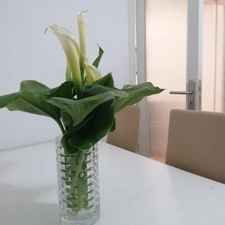 Apartment Bolboreta Pontevedra