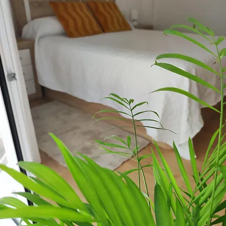 Bolboreta Apartment Pontevedra