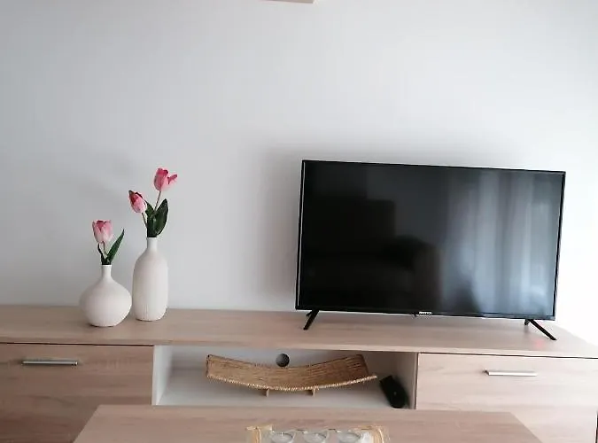 Bolboreta ポンテベドラ