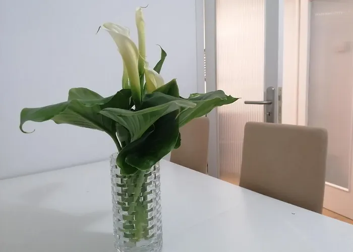 アパート Bolboreta ポンテベドラ