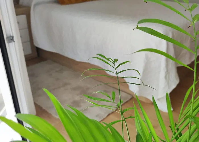 Bolboreta アパート ポンテベドラ